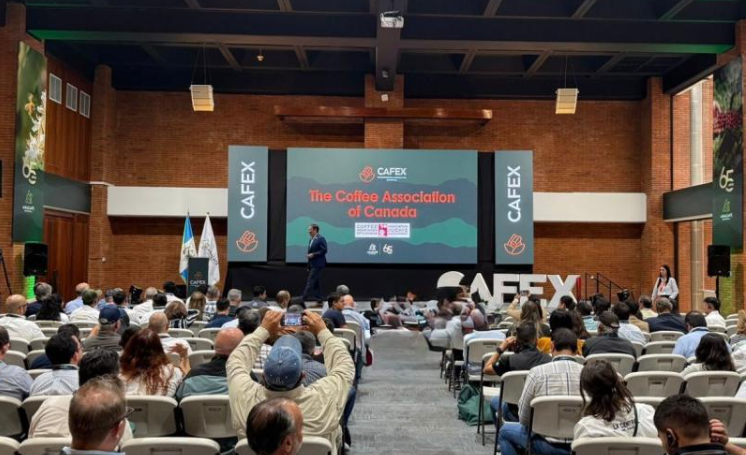 Guatemala y Canadá fortalecen relaciones comerciales en la industria del café