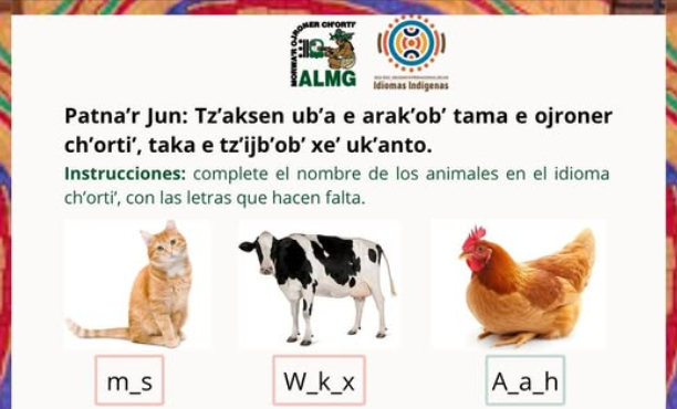 Comunidad lingüística chortí publica contenido educativo para la difusión del idioma./Foto: ALMG.