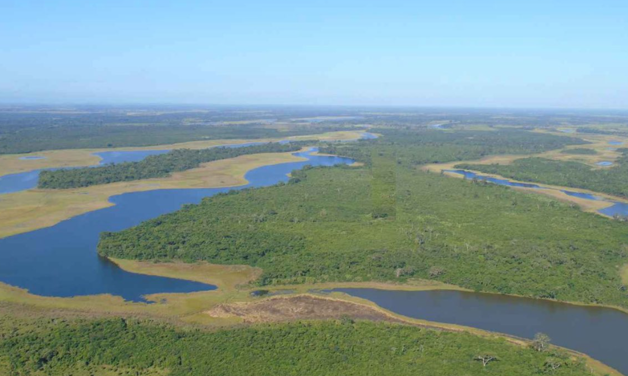 Ministerio de Ambiente inicia recuperación del Parque Nacional Laguna del Tigre.