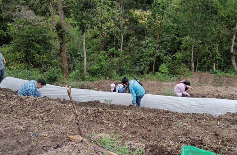 Cada huerto comunal representa una oportunidad para que las familias produzcan alimentos frescos en casa. / Foto: MAGA