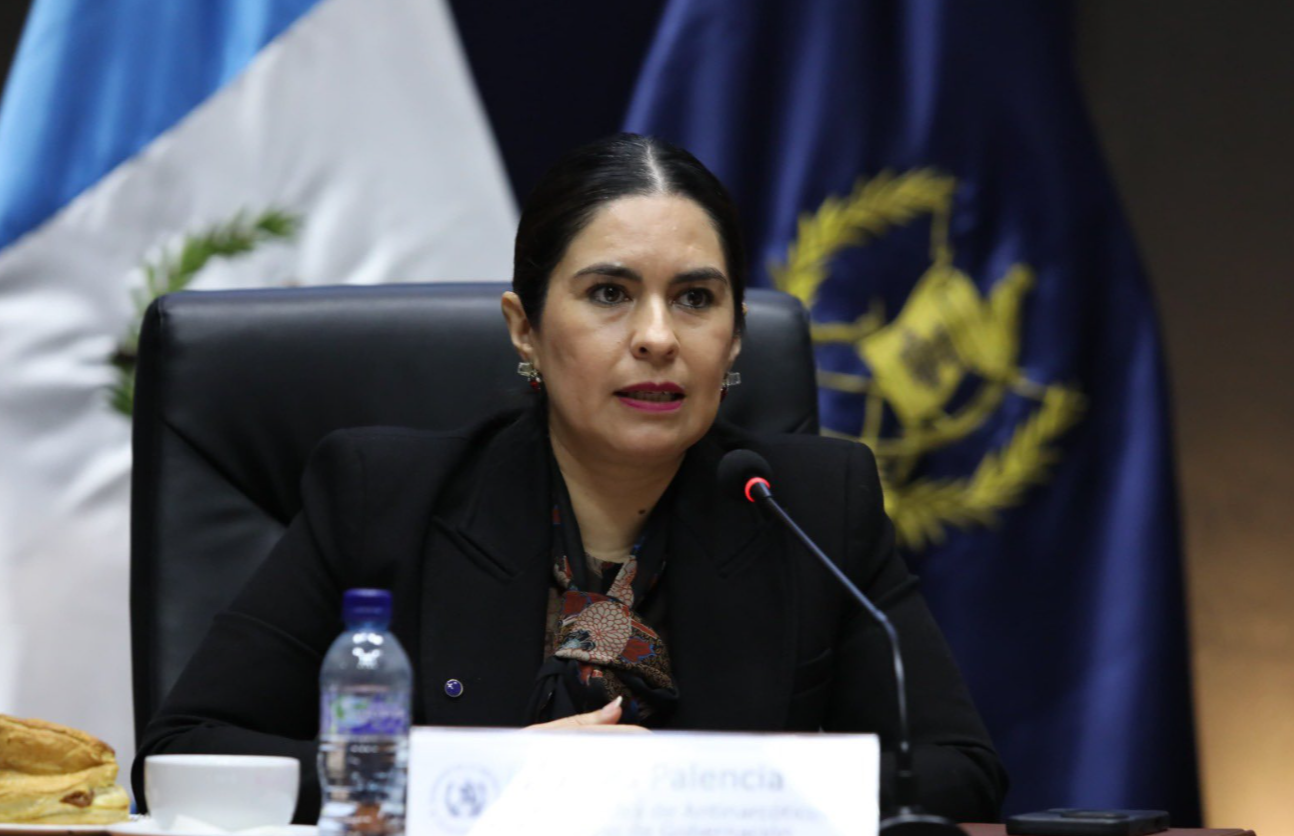 Viceministra Palencia: la rivalidad entre pandillas es por el control de distribución de droga en el país