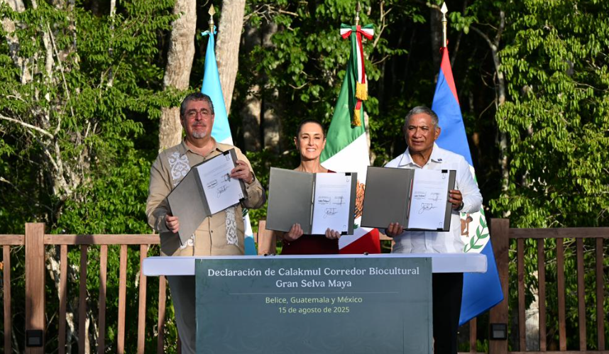 Las tres naciones buscan proteger la selva maya que comparten./Foto: Byron de la Cruz.