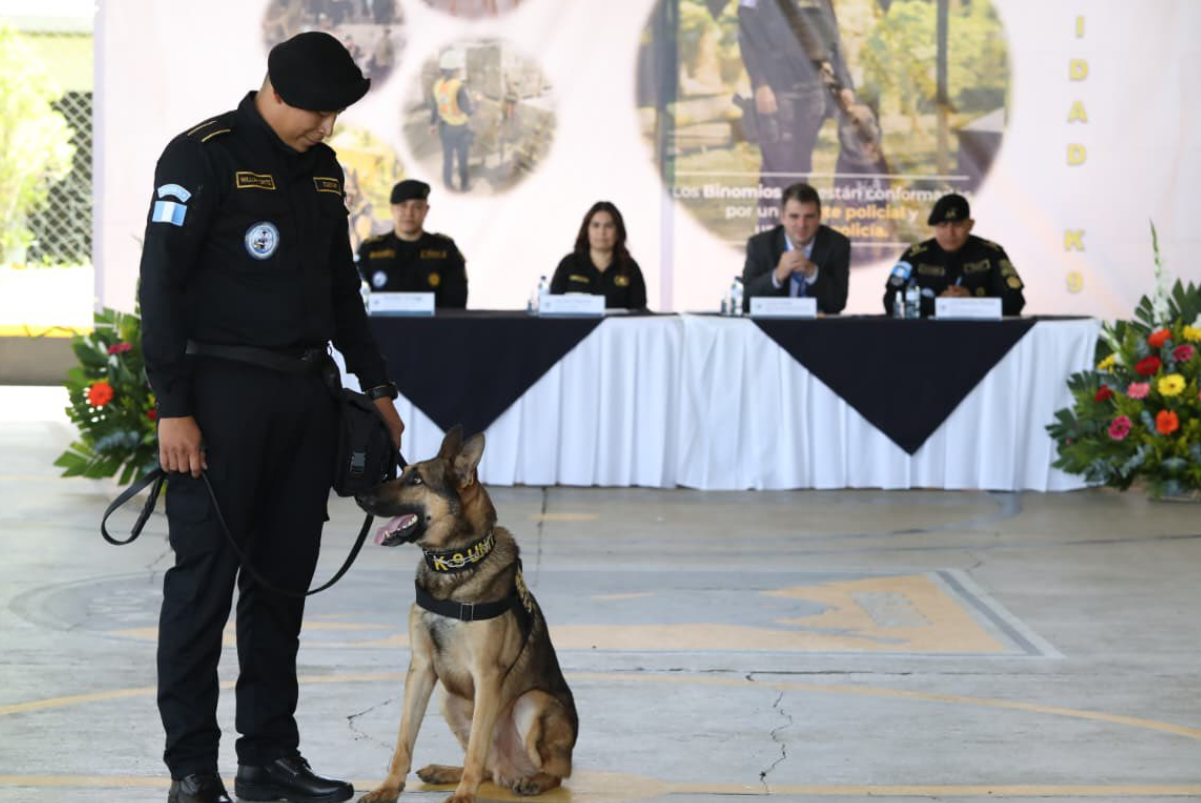 Gradúan a 17 guías caninos K-9 para reforzar la lucha contra el narcotráfico