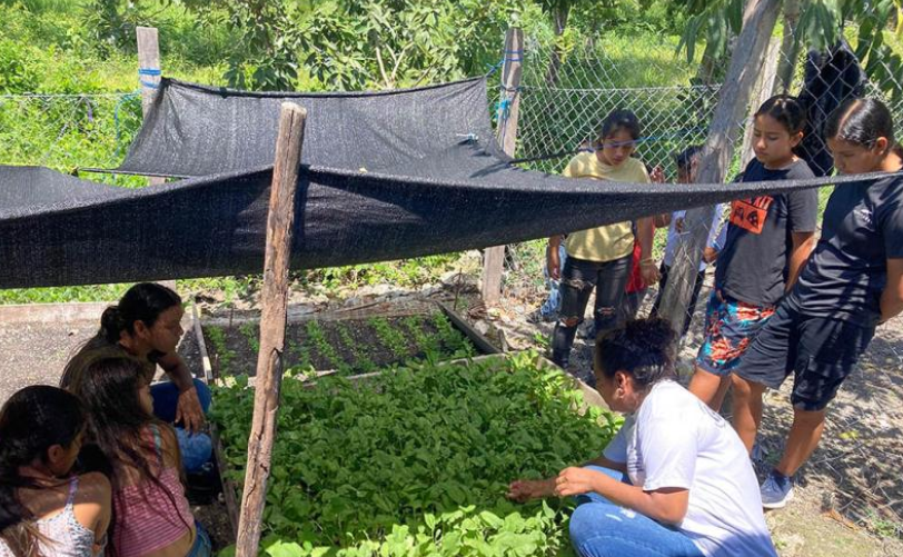 Una de las principales metas del huerto escolar fue promover la adopción de prácticas alimentarias saludables en los niños y sus familias. / Foto: MAGA