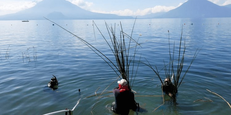 El MARN sancionará a empresas que contaminan el lago de Atitlán