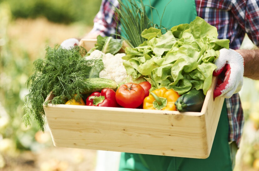 Científicos sugieren reducir el consumo de verduras y carne para mitigar la degradación del suelo.