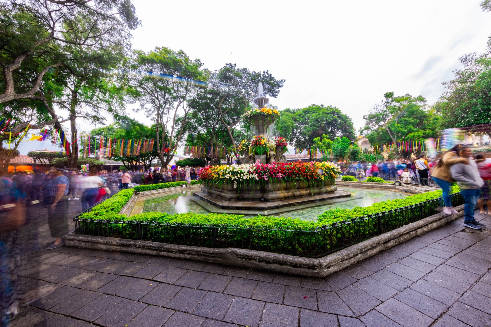 Arte, tradición y economía cultural se unen en el Festival de las Flores 2025