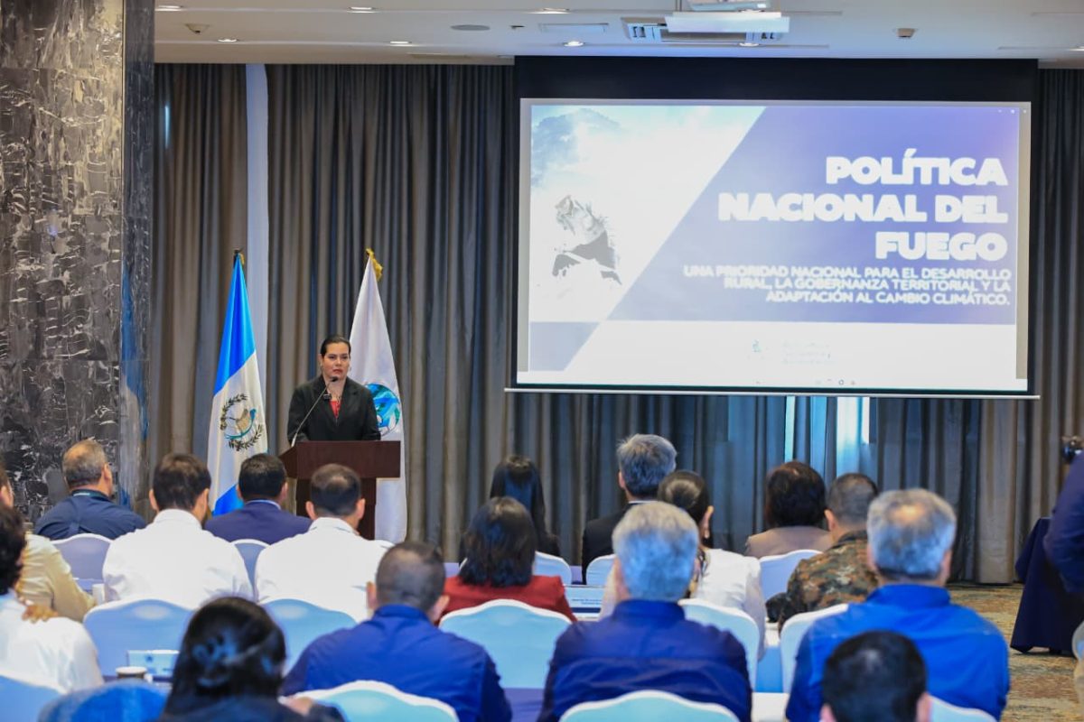 Encuentro para la construcción de una política nacional de fuego. / Foto: MAGA.