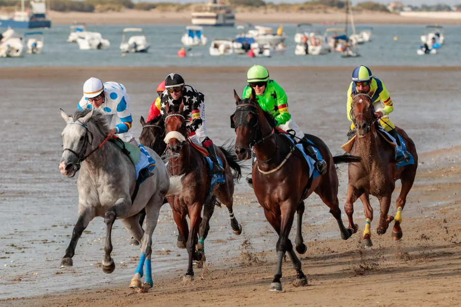 Analizaron muestras para identificar la modificación genética de los caballos. / Foto: EFE.