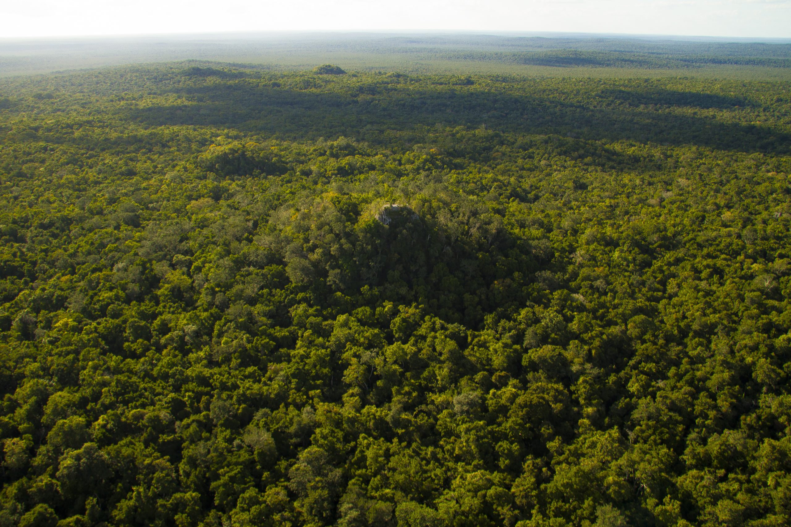 Qué es el Acuerdo de Calakmul Corredor Biocultural Gran Selva Maya