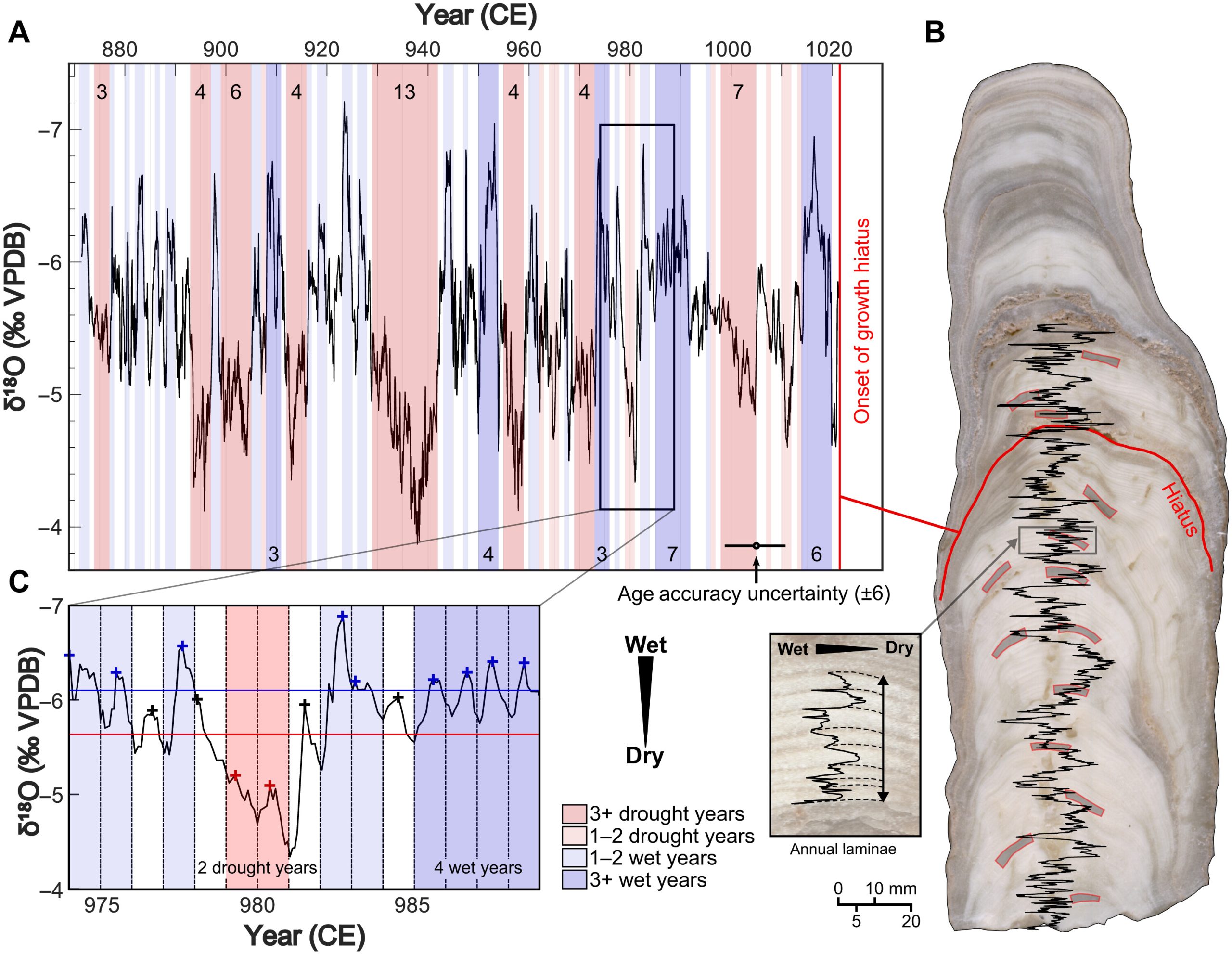 El estudio de las estalagmitas determinó el impacto de las sequías en la sociedad maya. / Foto: ScienceAdvances y Universidad de Cambridge.