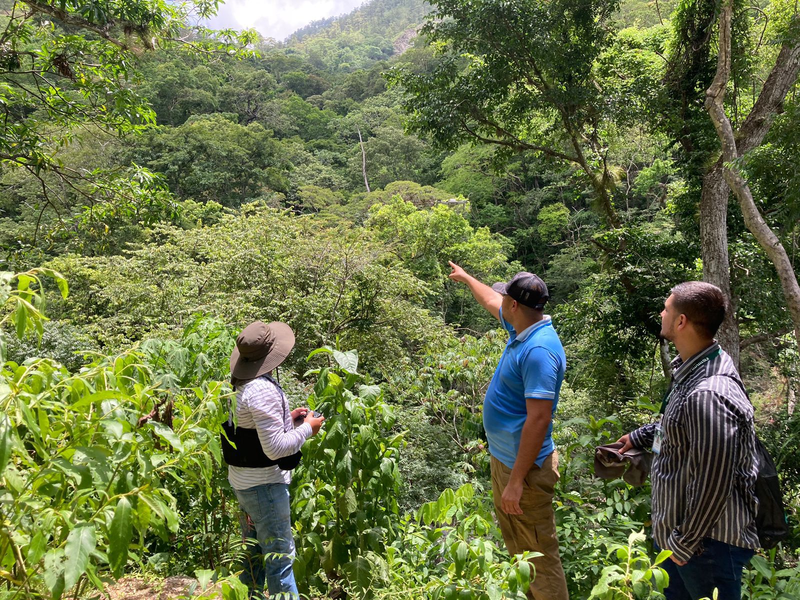 Incentivos forestales en Zacapa garantizan más bosques y desarrollo local
