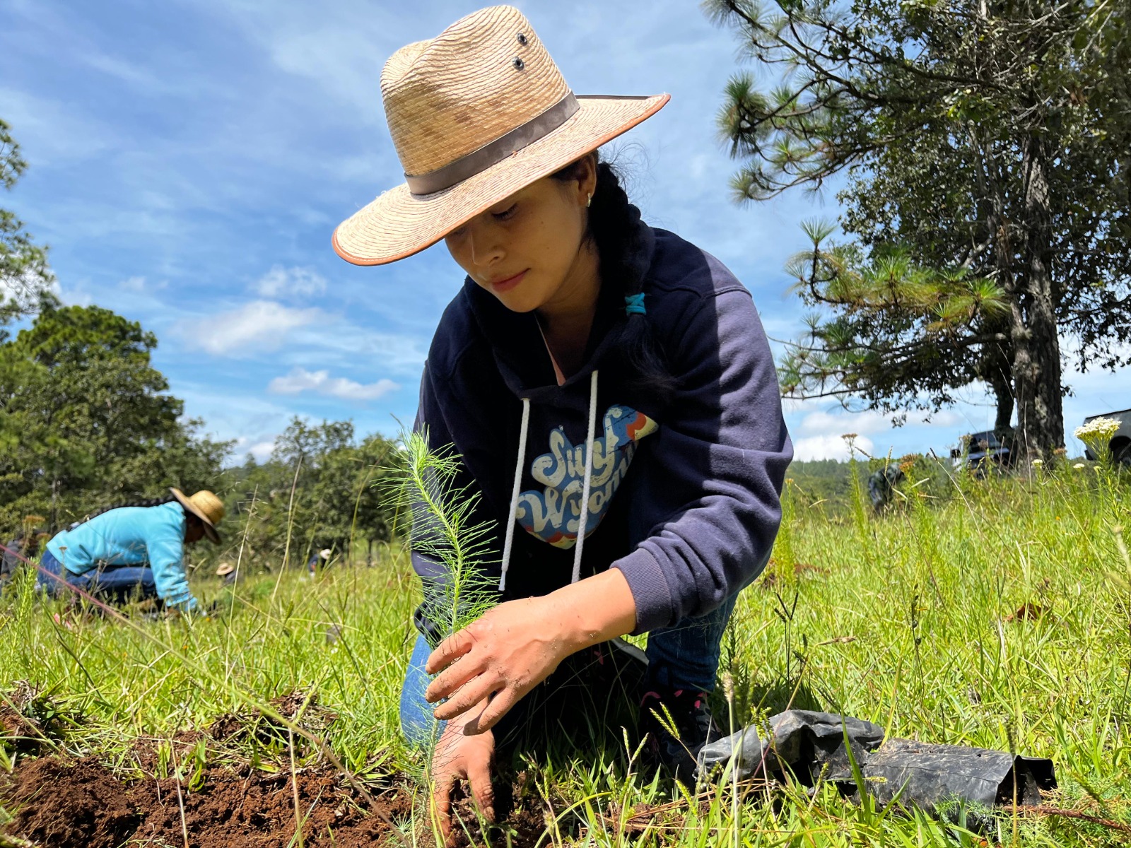 Instituciones y comunidad se unen a la jornada de reforestación en el área rural de Malacatancito