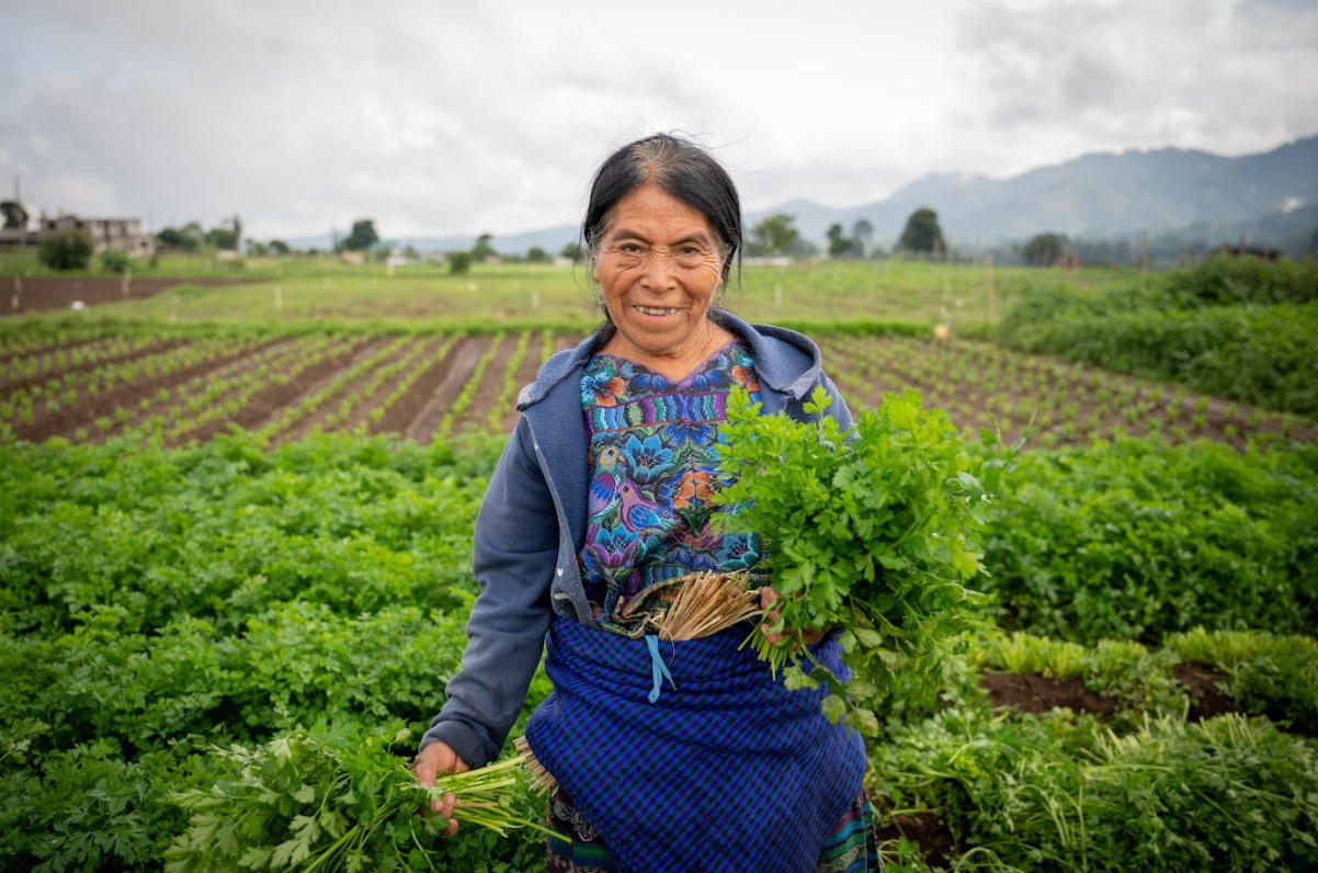 El Crédito Tob’anik se consolida como una herramienta financiera clave para el campo guatemalteco. / Foto: Álvaro Interiano