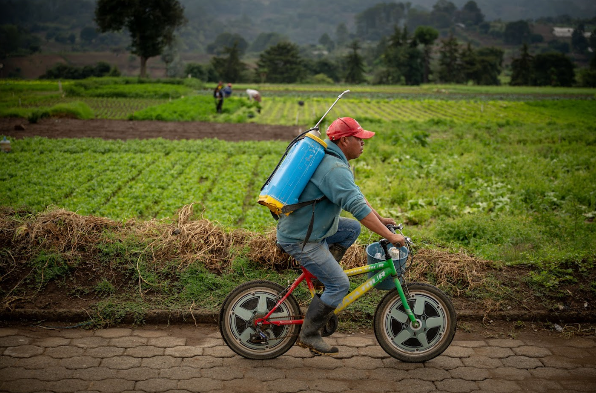 25 agricultores han accedido al Crédito Tob’anik