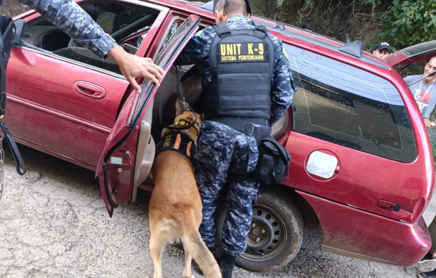 Unidad Élite K-9 del Sistema Penitenciario realiza inspecciones a vehículos y encomiendas. / Foto: Sistema Penitenciario