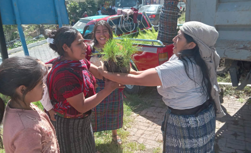 MAGA entregó 10 mil plantas forestales a 5 comunidades de San Marcos
