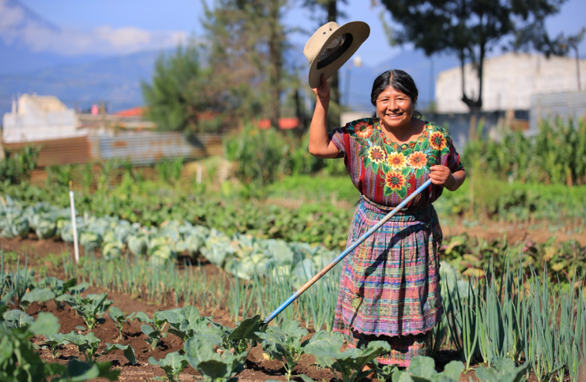MAGA resalta el esfuerzo de los agricultores en el Día Mundial de la Agricultura