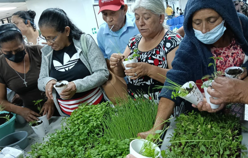 MAGA capacita a adultos mayores en la creación de huertos familiares