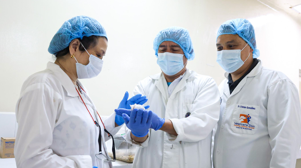 Científicos guatemaltecos trabajan en el desarrollo y producción de suero antiofídico a partir de las principales especies de serpientes en Guatemala. (Foto: Senacyt)