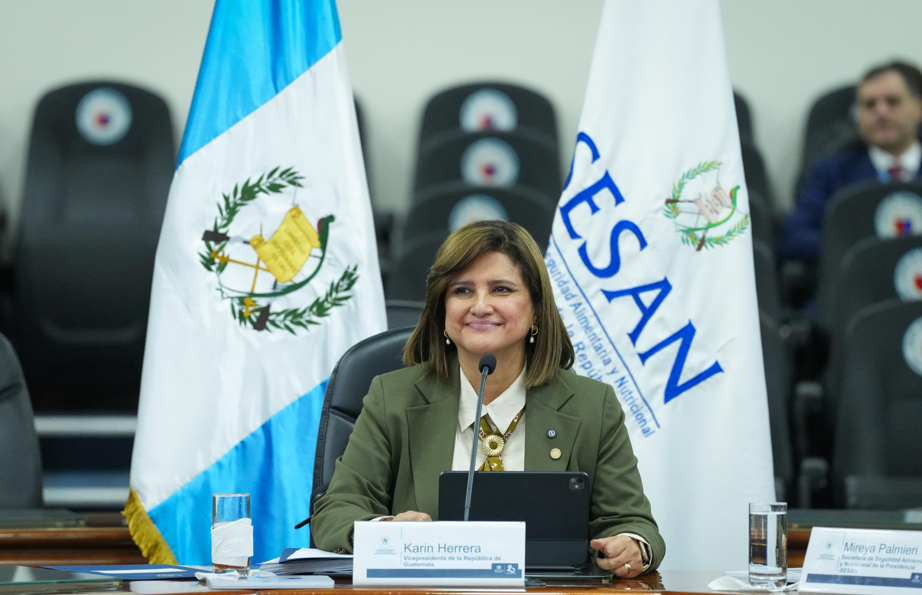 Vicepresidencia destaca resultados en el combate a la desnutrición y la inseguridad alimentaria. (Foto: vicepresidencia)