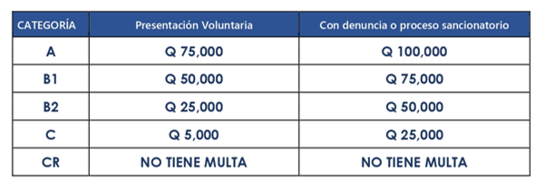 Multas por categoría
