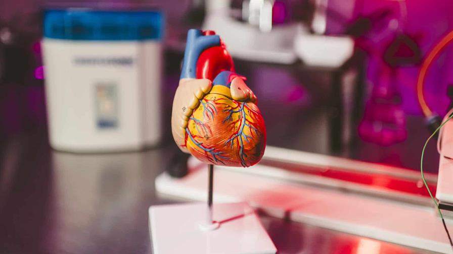Científicos de EE. UU. crean una IA que busca prevenir infartos oyendo los latidos
