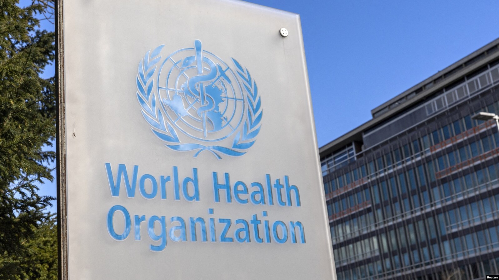 La Biblioteca Global de Medicina Tradicional (BGMT) se presentará en la próxima Cumbre de Medicina Tradicional en Nueva Delhi.