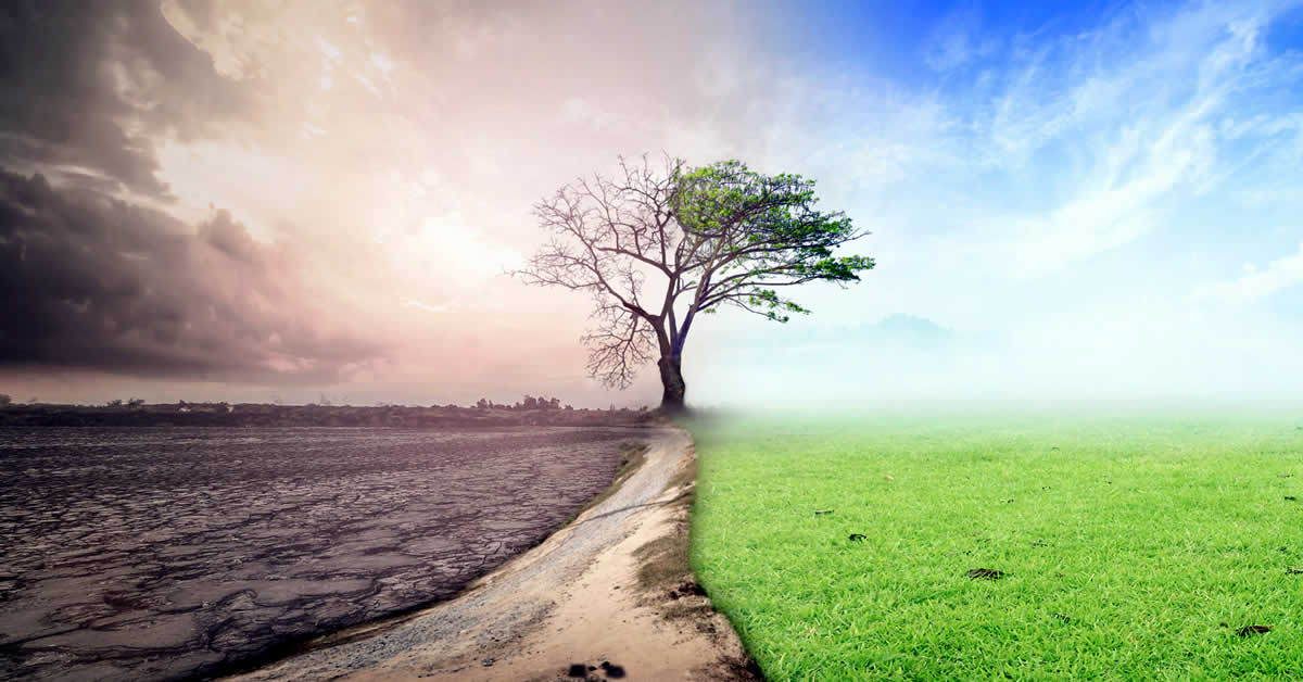El informe aboga por un cambio urgente en los sistemas de producción y consumo, descarbonizando la economía para reducir los efectos del cambio climático.