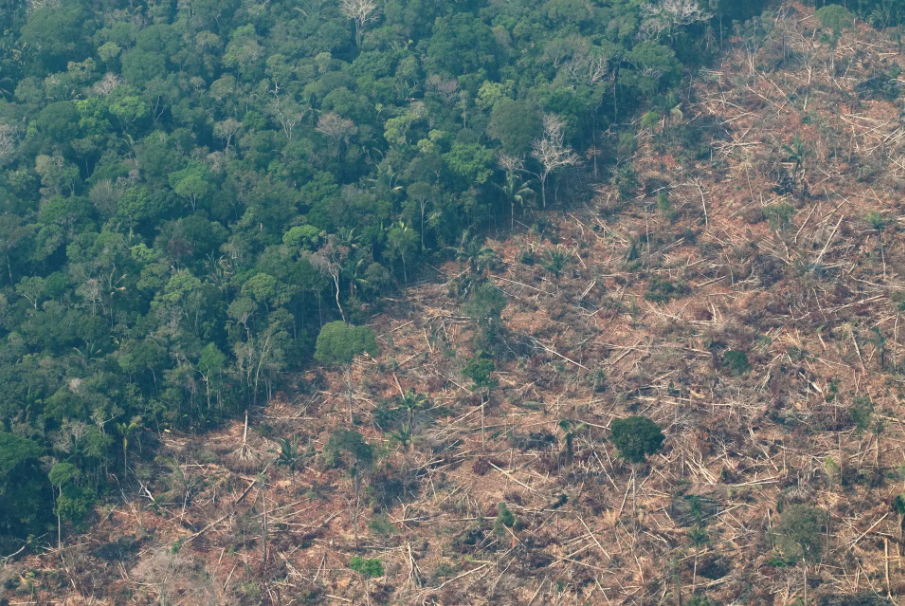 Detectan impacto en las lluvias por la deforestación en la Amazonía. / Foto: EFE.