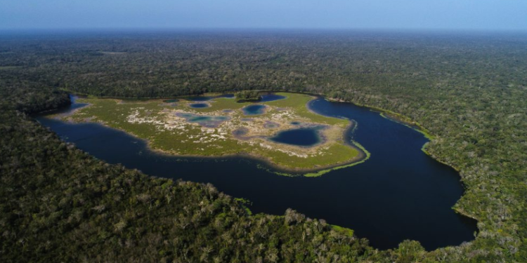 Reserva de la Biosfera Maya será monitoreada con drones./Foto: Conap.