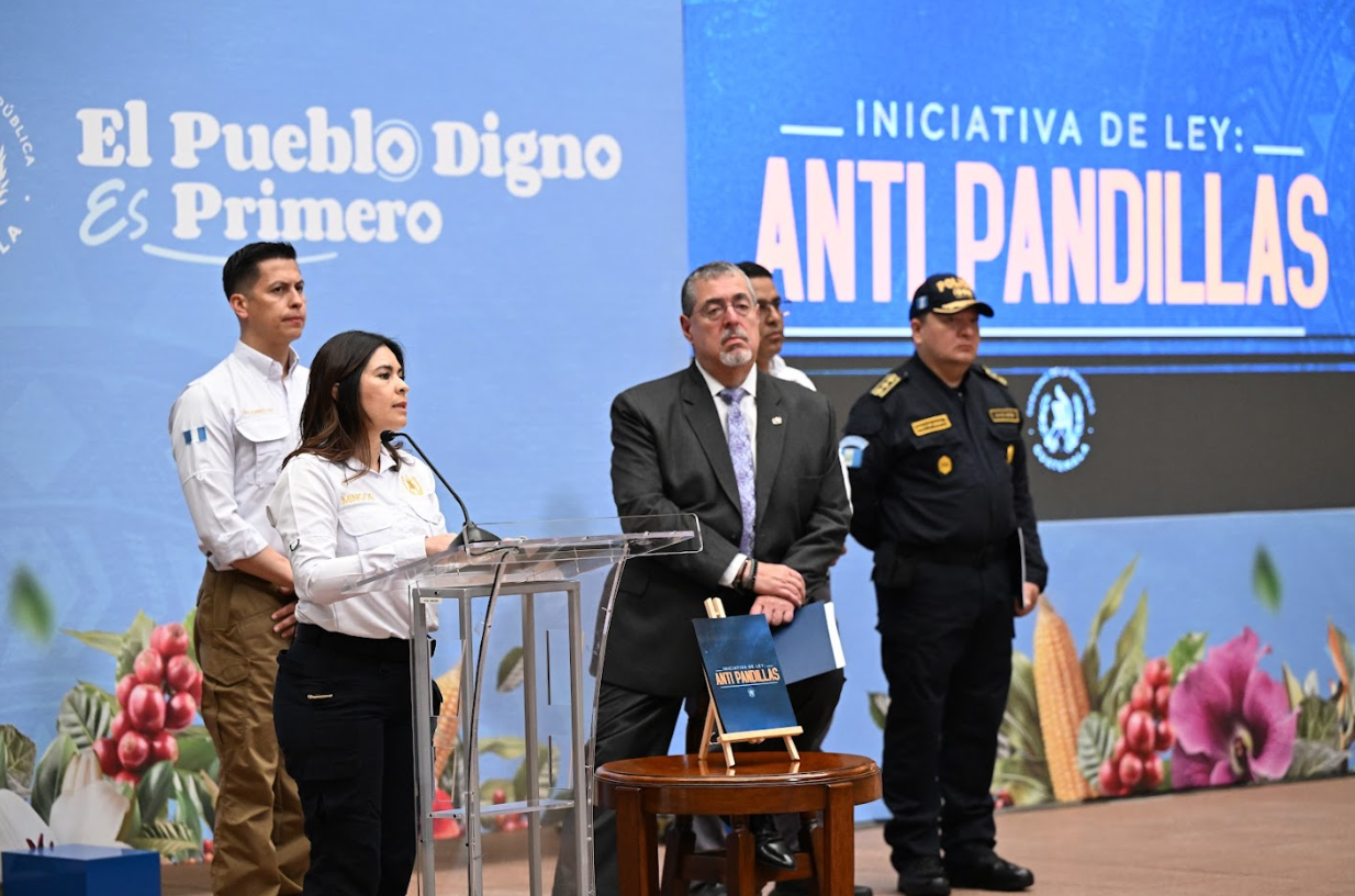 Viceministra de Antinarcóticos y Seguridad Fronteriza, Claudia Palencia. / Foto: Byron de la Cruz
