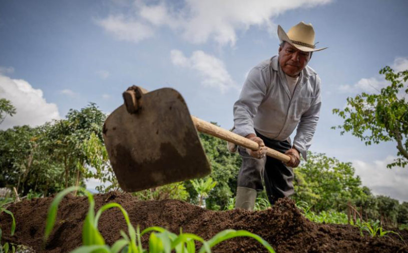 Crédito Tob’anik supera los mil beneficiarios y fortalece la producción agrícola