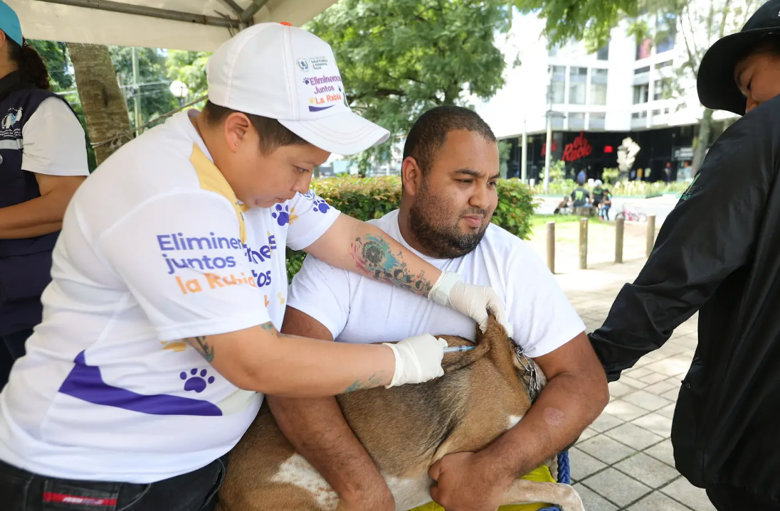 “Eliminemos juntos la rabia”: Inicio de campaña de vacunación para tus mascotas