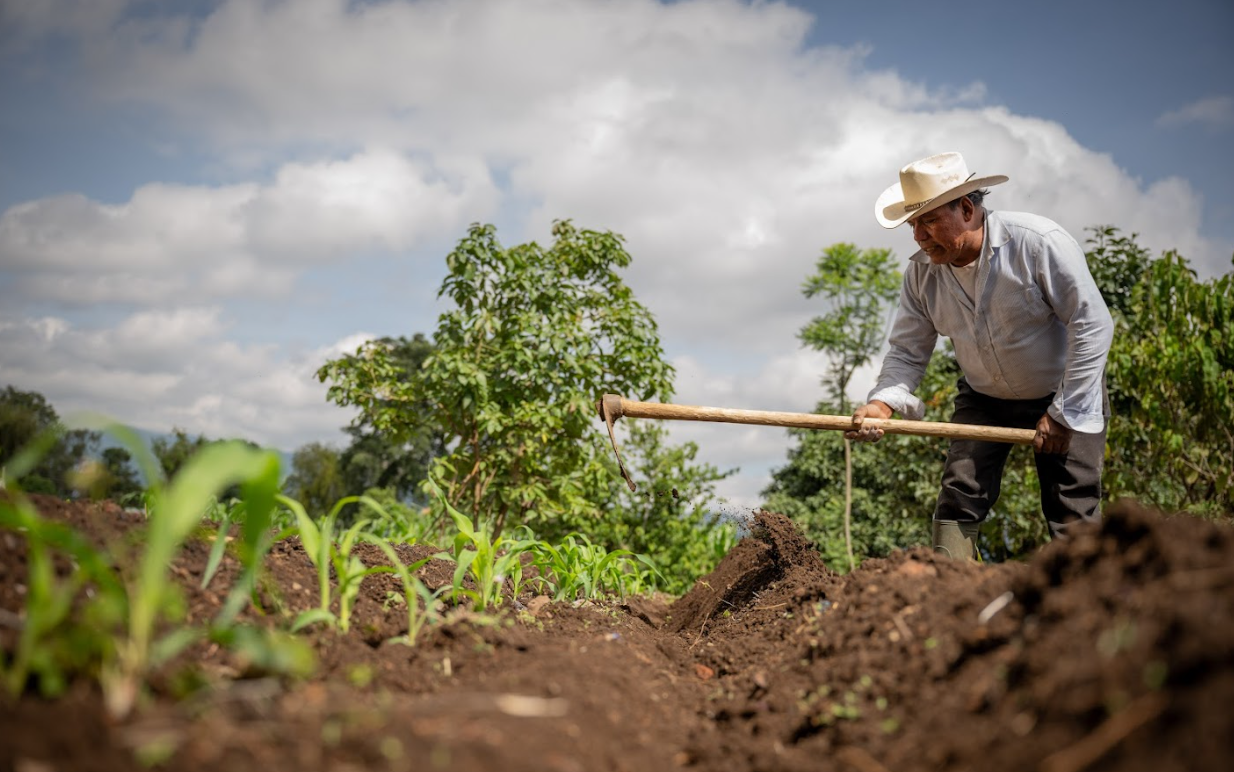 Crédito Tob’anik ha beneficiado a más de 150 agricultores para el impulso de su producción