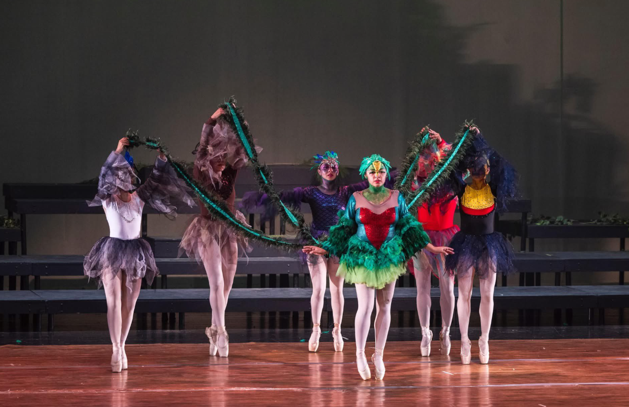 Convocatoria abierta para el Premio por Trayectoria y Aportes al Desarrollo de la Danza./Foto: MCD.