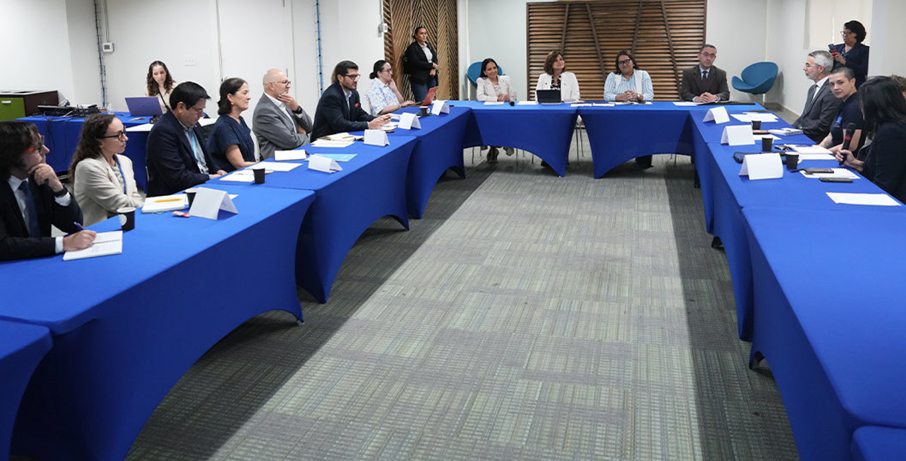 Vicepresidenta lidera mesa de diálogo con cooperación internacional para avanzar en bienestar infantil y desarrollo científico