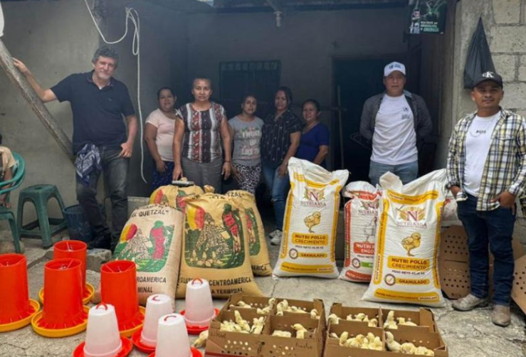 MAGA entregó pollos de engorde en Petén/:Foto: MAGA.