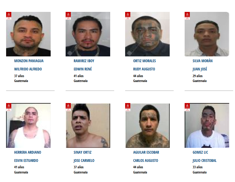 Esto permite que los 196 países miembros colaboren en su localización. / Foto: Interpol