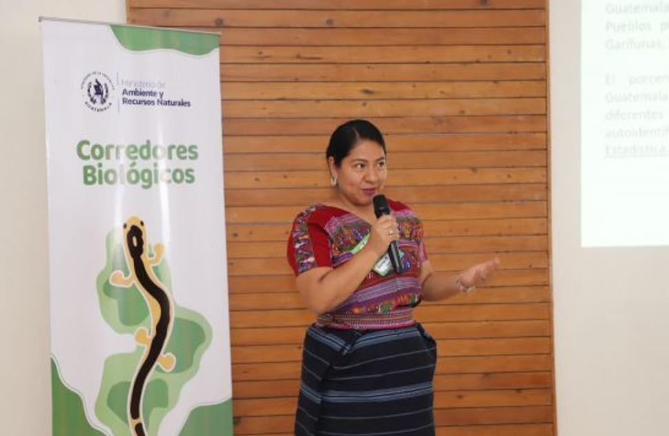 MARN impulsa el fortalecimiento de corredores biológicos. (Foto: MARN)