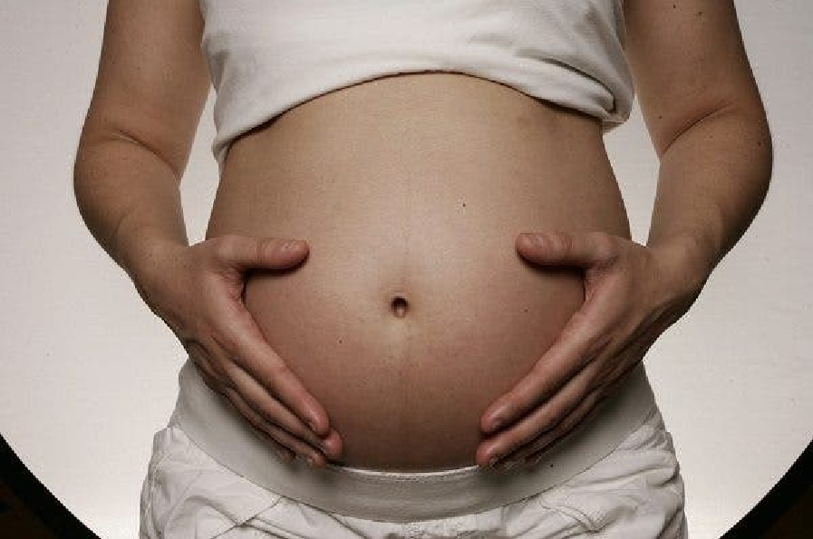 Bacteria probiótica presente en la microbiota intestinal materna favorece el desarrollo fetal.