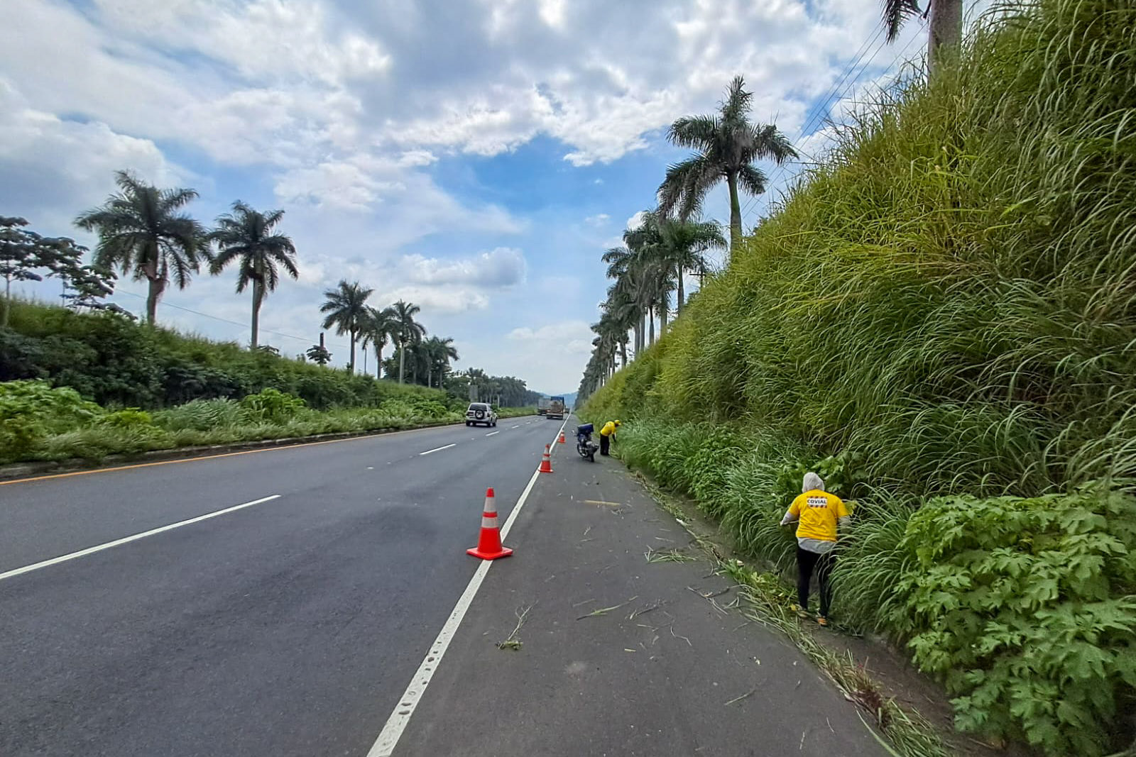 Limpian la autopista Palín–Escuintla: retiran maleza y basura de la carretera. / Foto: Covial.