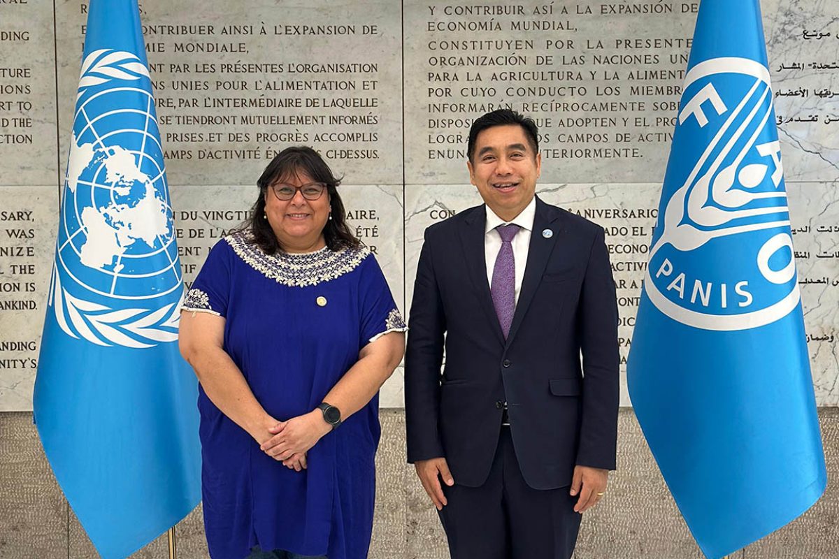 FAO ampliará cooperación con Guatemala en sanidad y producción animal