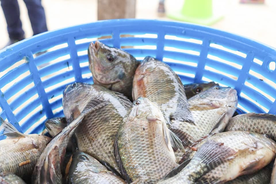 Las autoridades del MAGA recordaron a los pescadores y a la población en general la importancia de respetar la veda. / Foto: MAGA.