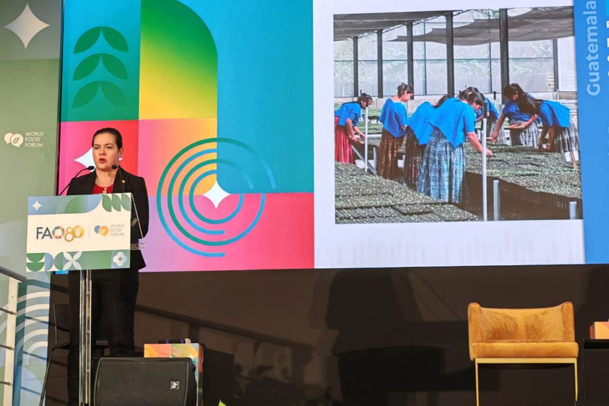 MAGA presenta plan de desarrollo agrícola sostenible ante organismos internacionales en Roma