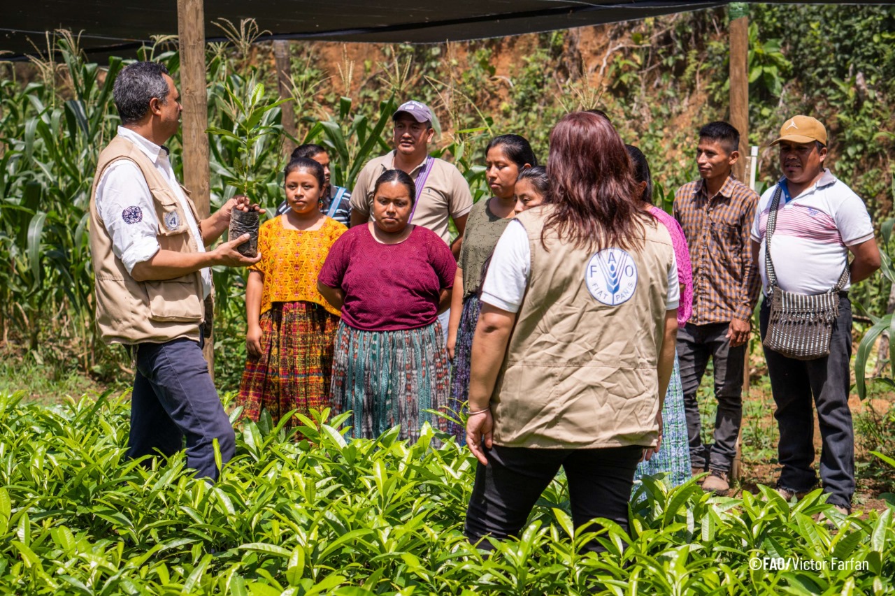 FAO conmemora 80 años de trabajo global de lucha contra el hambre