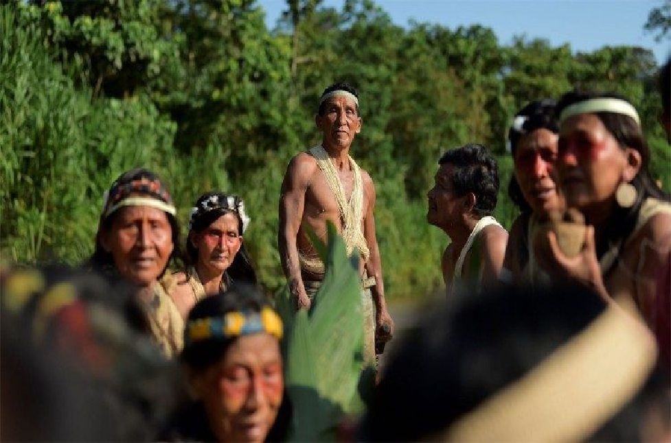El 40 % del Amazonía que está intacto hoy en día está en territorios indígenas, lo que es un valor agregado para la humanidad.