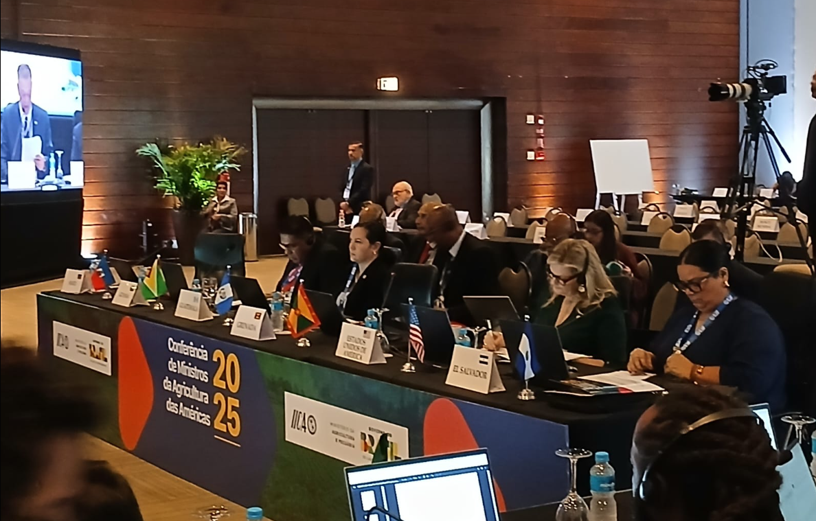 La participación del MAGA en este encuentro reafirma el compromiso de Guatemala con la transformación de los sistemas agroalimentarios. / Foto: MAGA