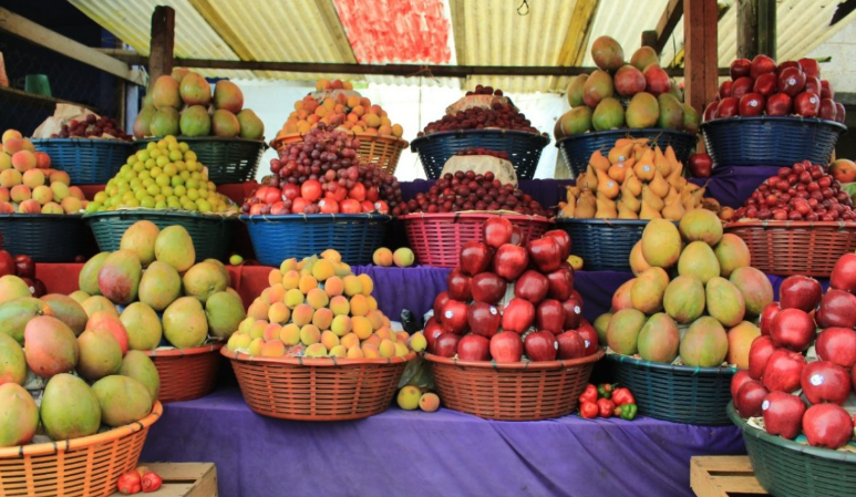 El impacto económico más notable del crédito Tob'anik se ha registrado en los cultivos frutales. / Foto: MAGA