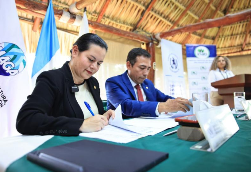 La cooperación entre el MAGA, INAB y el BID refleja el compromiso del Gobierno de Guatemala con el manejo sostenible de los recursos naturales. / Foto: MAGA